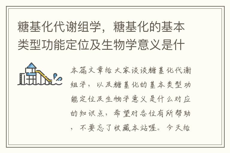 糖基化代谢组学，糖基化的基本类型功能定位及生物学意义是什么