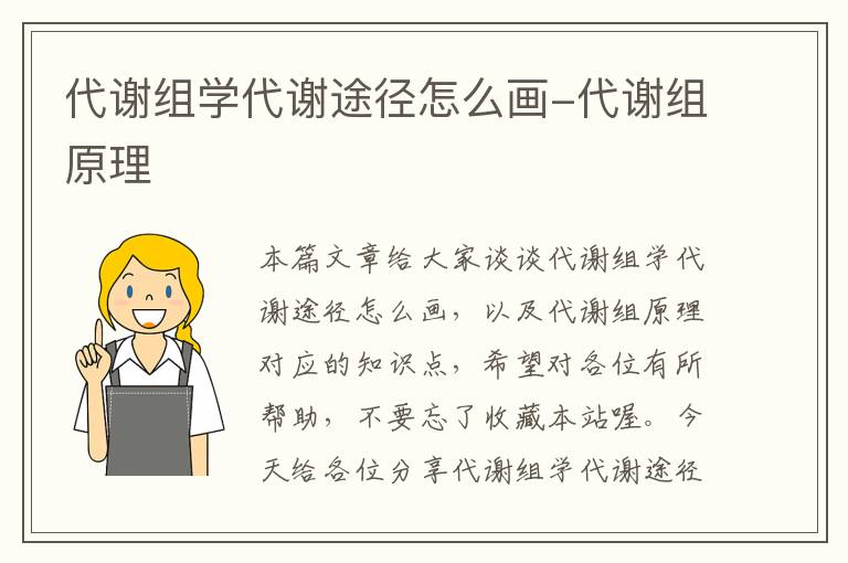 代谢组学代谢途径怎么画-代谢组原理