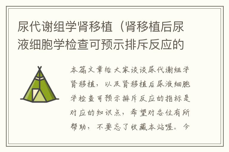 尿代谢组学肾移植（肾移植后尿液细胞学检查可预示排斥反应的指标是）