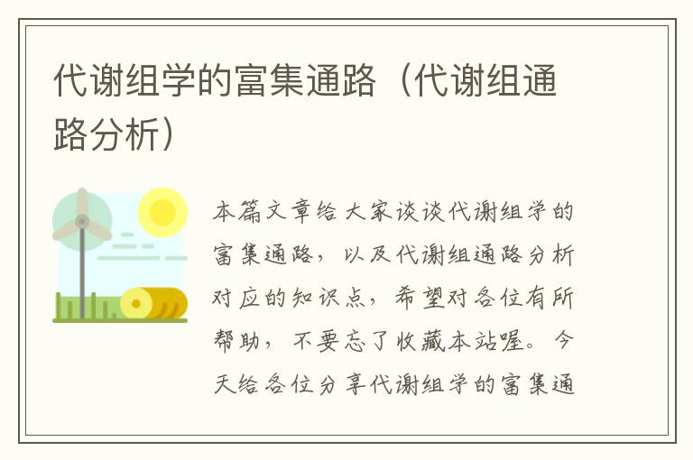 代谢组学的富集通路（代谢组通路分析）