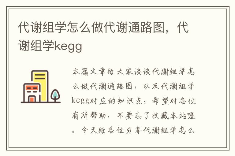 代谢组学怎么做代谢通路图，代谢组学kegg