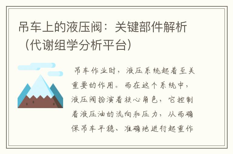 吊车上的液压阀：关键部件解析（代谢组学分析平台）