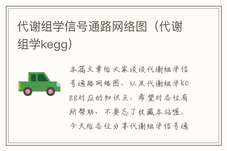 代谢组学信号通路网络图（代谢组学kegg）