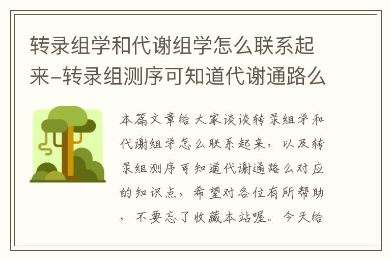 转录组学和代谢组学怎么联系起来-转录组测序可知道代谢通路么