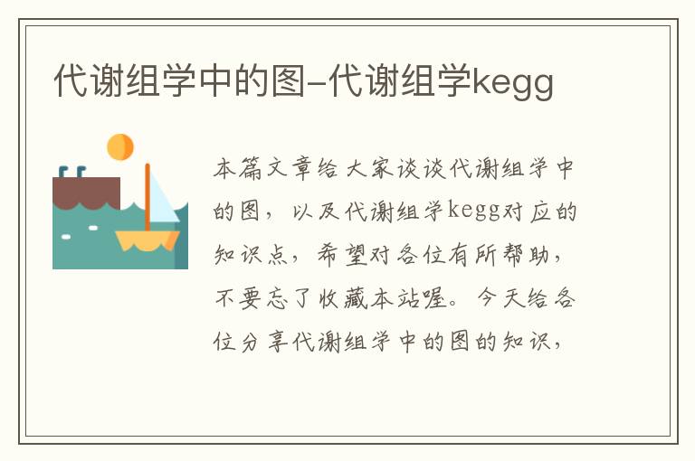 代谢组学中的图-代谢组学kegg