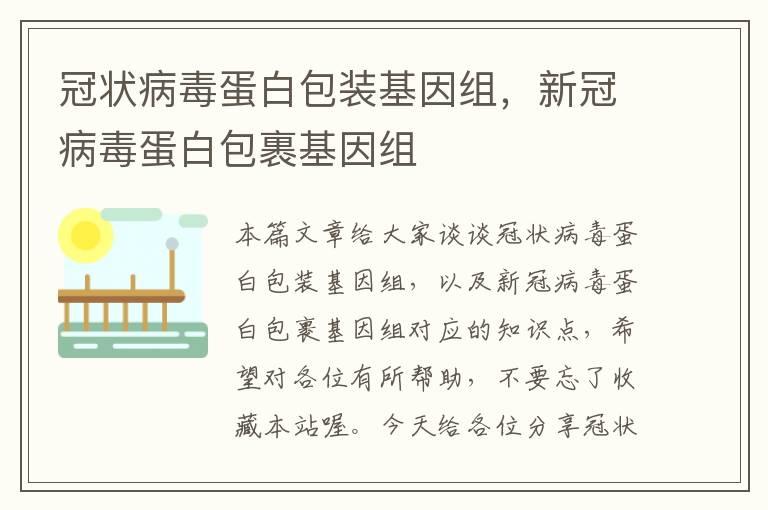 冠状病毒蛋白包装基因组，新冠病毒蛋白包裹基因组