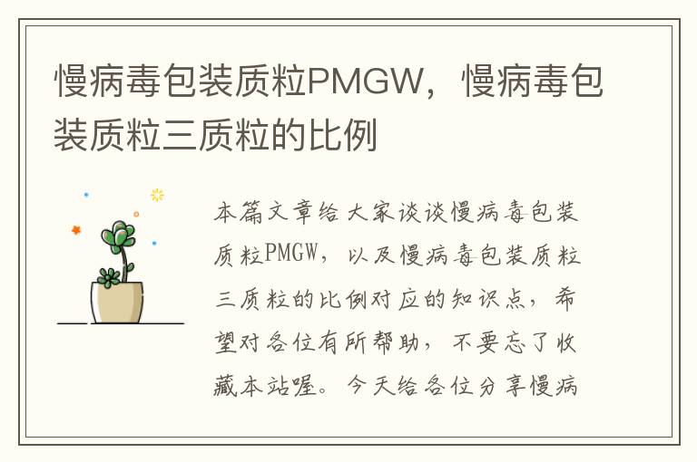 慢病毒包装质粒PMGW，慢病毒包装质粒三质粒的比例