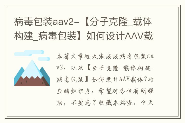 病毒包装aav2-【分子克隆_载体构建_病毒包装】如何设计AAV载体?