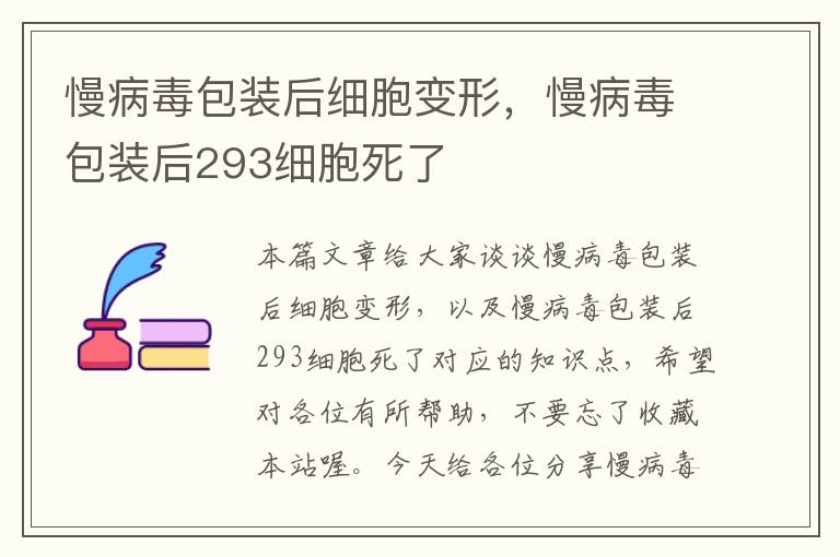 慢病毒包装后细胞变形，慢病毒包装后293细胞死了