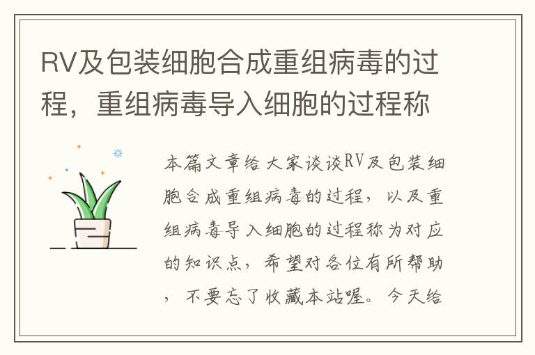 RV及包装细胞合成重组病毒的过程，重组病毒导入细胞的过程称为