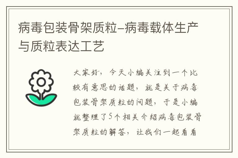 病毒包装骨架质粒-病毒载体生产与质粒表达工艺