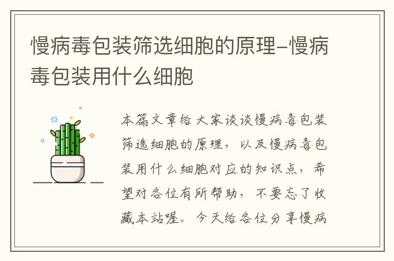 慢病毒包装筛选细胞的原理-慢病毒包装用什么细胞