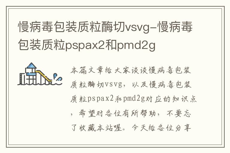 慢病毒包装质粒酶切vsvg-慢病毒包装质粒pspax2和pmd2g