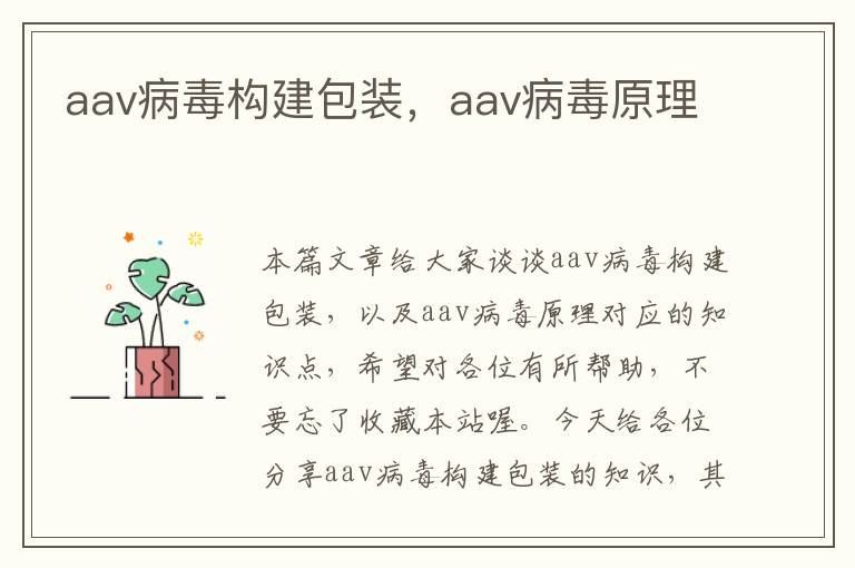 aav病毒构建包装，aav病毒原理