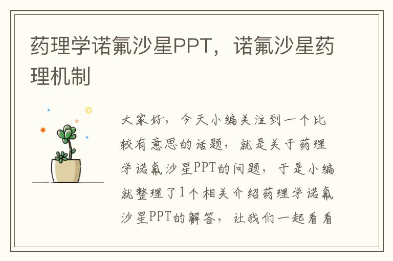 药理学诺氟沙星PPT，诺氟沙星药理机制