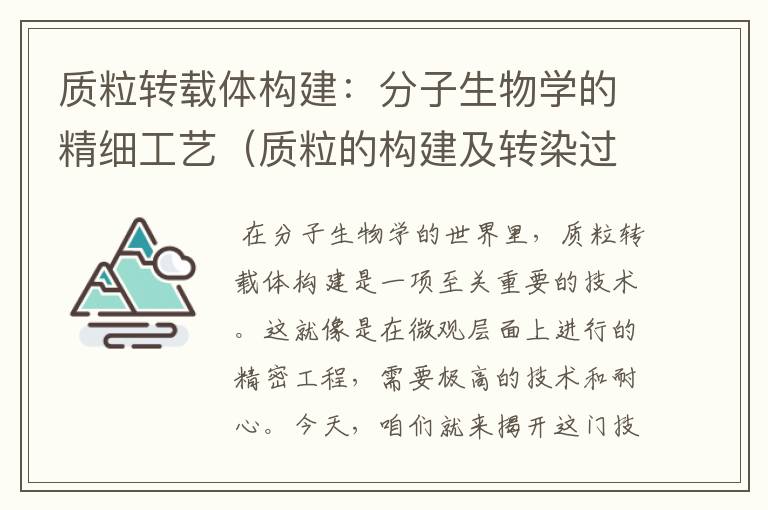 质粒转载体构建：分子生物学的精细工艺（质粒的构建及转染过程）