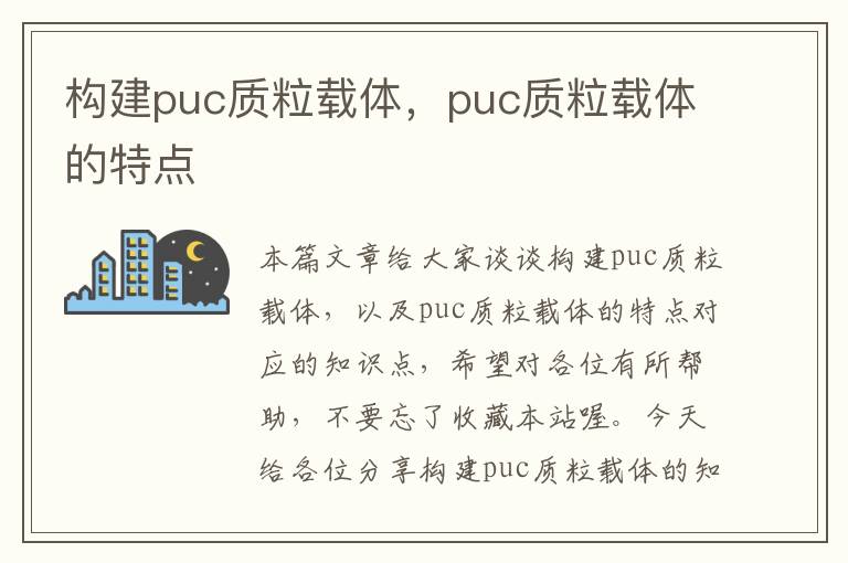 构建puc质粒载体，puc质粒载体的特点