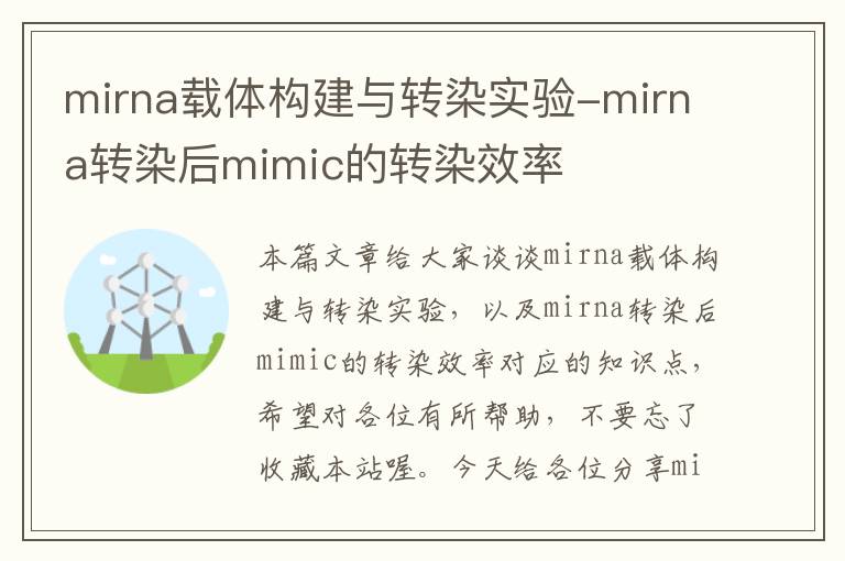 mirna载体构建与转染实验-mirna转染后mimic的转染效率