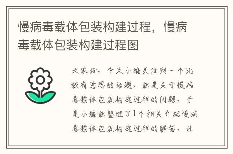 慢病毒载体包装构建过程，慢病毒载体包装构建过程图