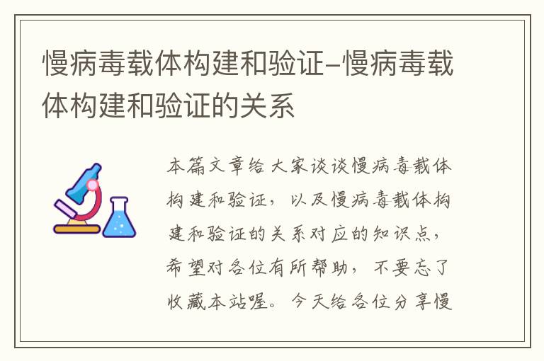 慢病毒载体构建和验证-慢病毒载体构建和验证的关系