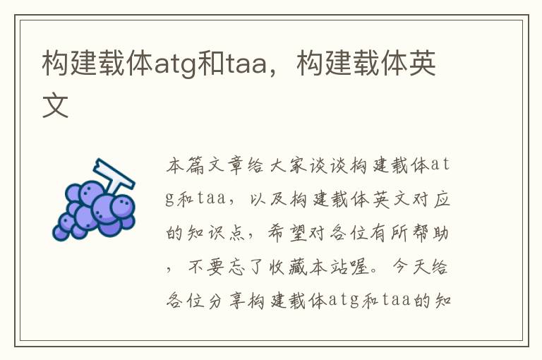 构建载体atg和taa，构建载体英文