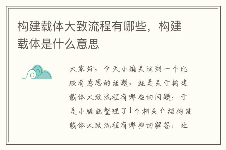 构建载体大致流程有哪些，构建载体是什么意思