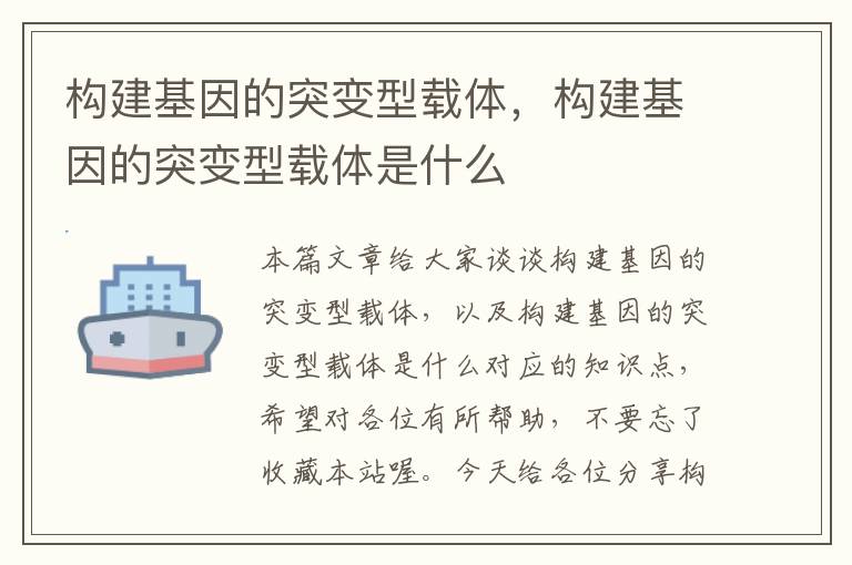 构建基因的突变型载体，构建基因的突变型载体是什么