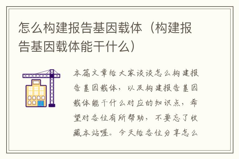 怎么构建报告基因载体（构建报告基因载体能干什么）