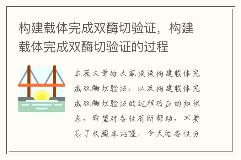 构建载体完成双酶切验证，构建载体完成双酶切验证的过程