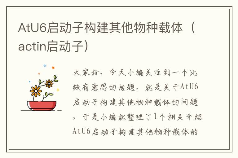 AtU6启动子构建其他物种载体（actin启动子）