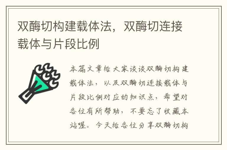 双酶切构建载体法，双酶切连接载体与片段比例