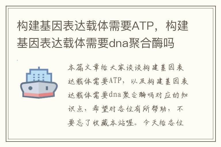 构建基因表达载体需要ATP，构建基因表达载体需要dna聚合酶吗