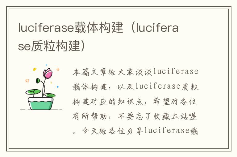 luciferase载体构建（luciferase质粒构建）