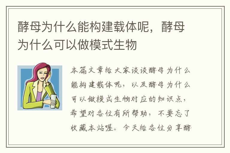 酵母为什么能构建载体呢，酵母为什么可以做模式生物