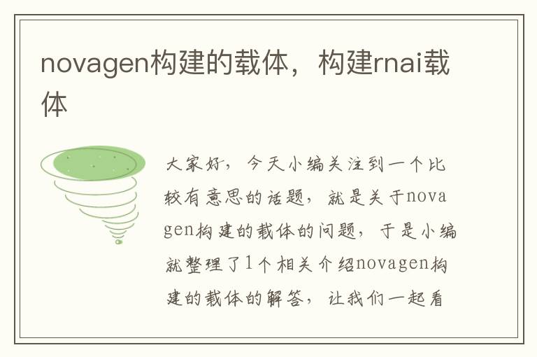 novagen构建的载体，构建rnai载体