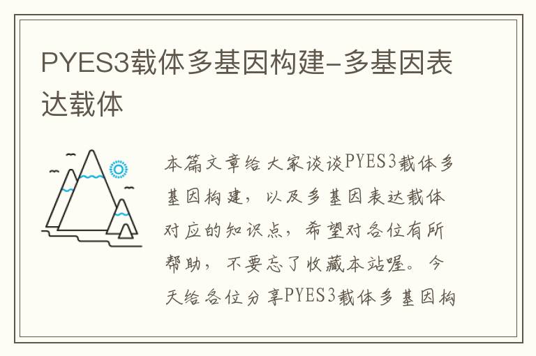 PYES3载体多基因构建-多基因表达载体