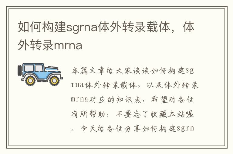 如何构建sgrna体外转录载体，体外转录mrna