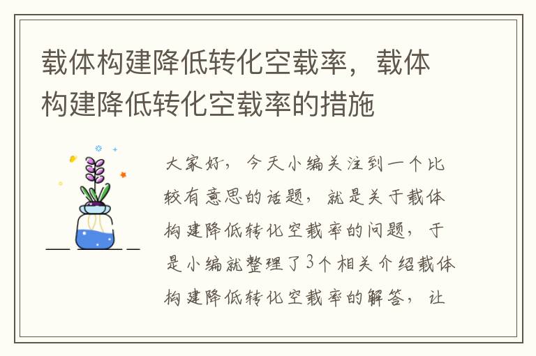 载体构建降低转化空载率，载体构建降低转化空载率的措施