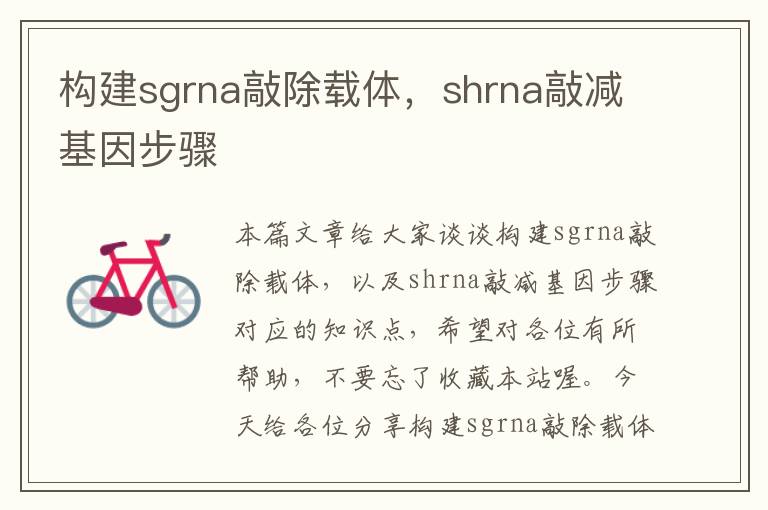 构建sgrna敲除载体，shrna敲减基因步骤