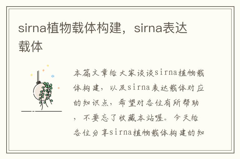 sirna植物载体构建，sirna表达载体