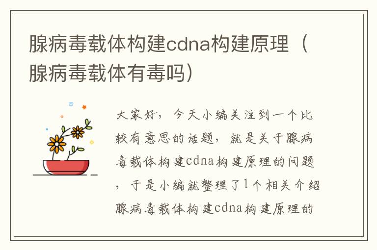 腺病毒载体构建cdna构建原理（腺病毒载体有毒吗）