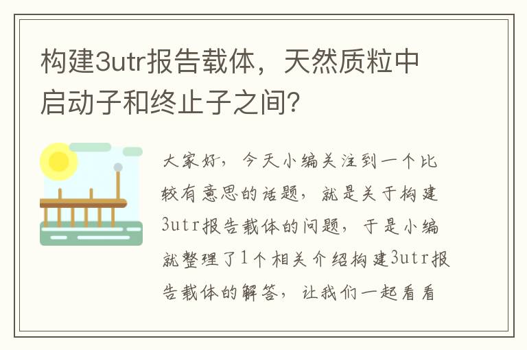 构建3utr报告载体，天然质粒中启动子和终止子之间？