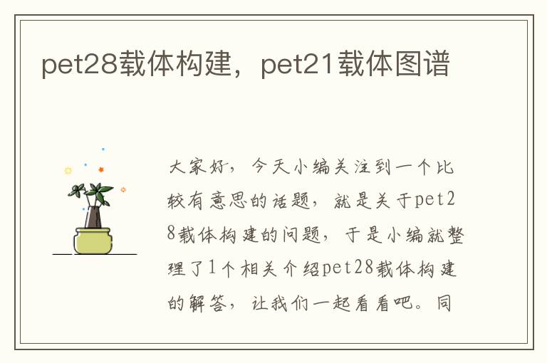 pet28载体构建，pet21载体图谱