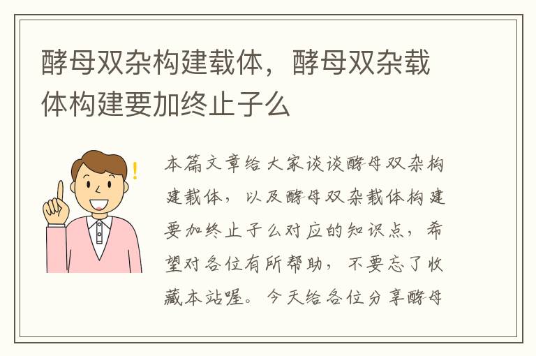 酵母双杂构建载体，酵母双杂载体构建要加终止子么