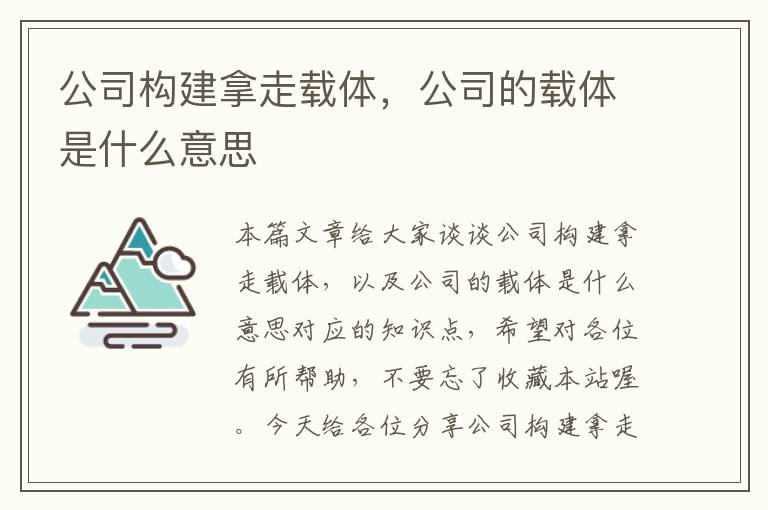 公司构建拿走载体，公司的载体是什么意思