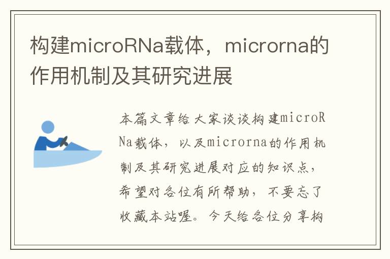 构建microRNa载体，microrna的作用机制及其研究进展