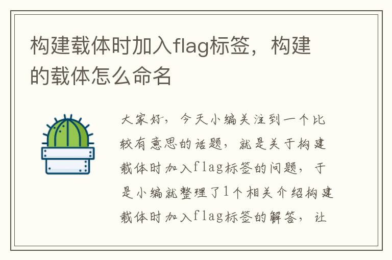 构建载体时加入flag标签，构建的载体怎么命名