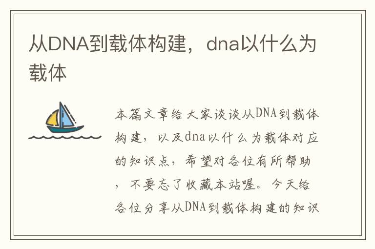 从DNA到载体构建，dna以什么为载体