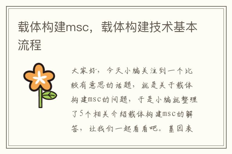 载体构建msc，载体构建技术基本流程