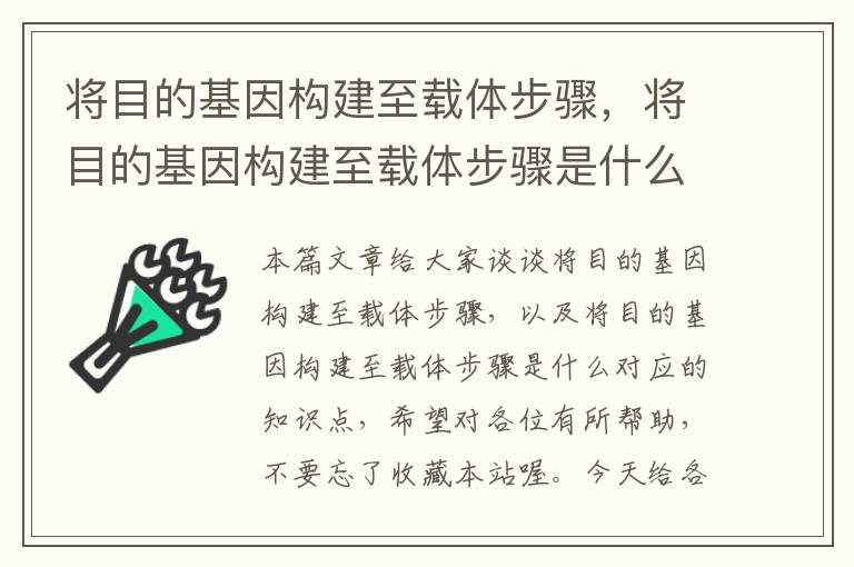 将目的基因构建至载体步骤，将目的基因构建至载体步骤是什么